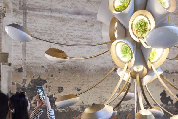 Heatherwick Studio’s Futuristic Greenhouse Debuts at Venice Biennale